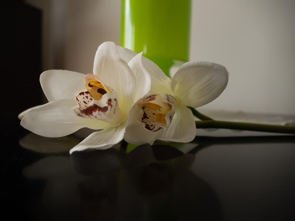 Green Park Apartments Świnoujście Eksteriør bilde
